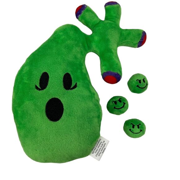 Attatoy Gallbladder Plush Body Organ Stuffed Toy Complete with Gallstones - Picture 1 of 10